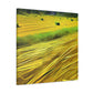 Sunlit Hay Field Dream - Canvas