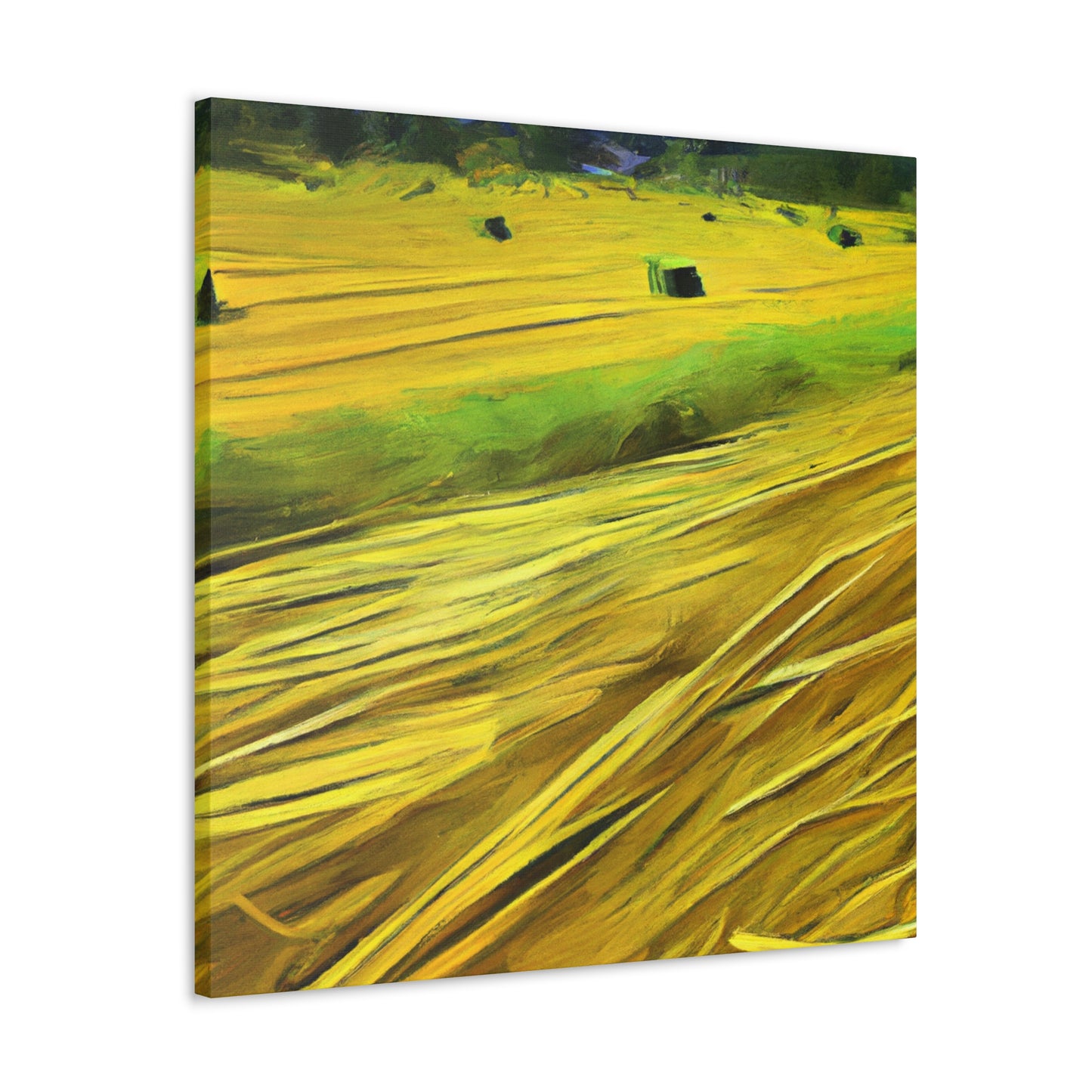 Sunlit Hay Field Dream - Canvas