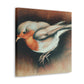 American Robin Reflection - Canvas