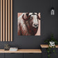 Musk Ox Splendor. - Canvas