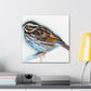 Song Sparrow Melodies - Canvas