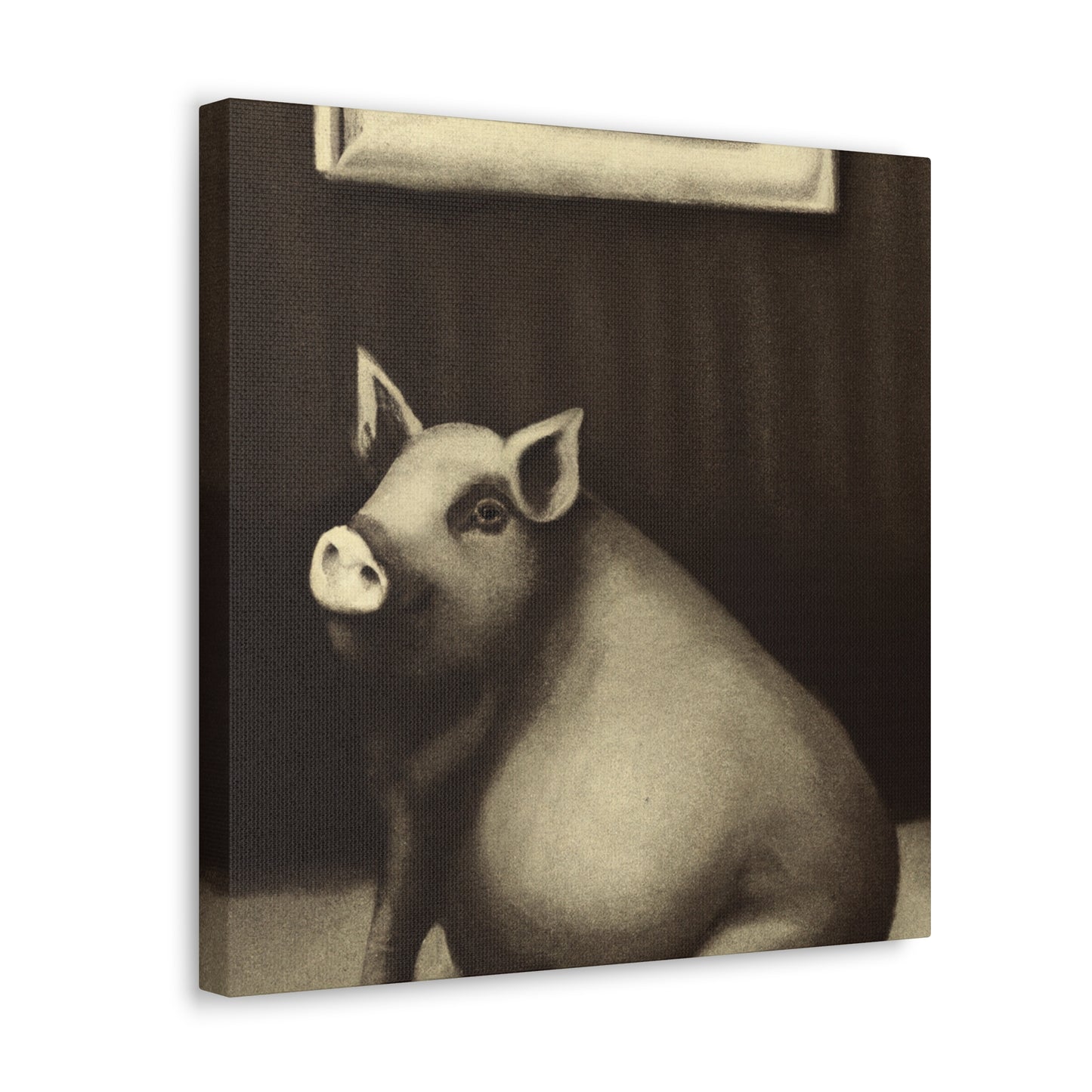 Potbelly Pig Fantasy - Canvas