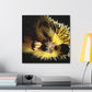 Hedgehog In Autumn Colors - Canvas