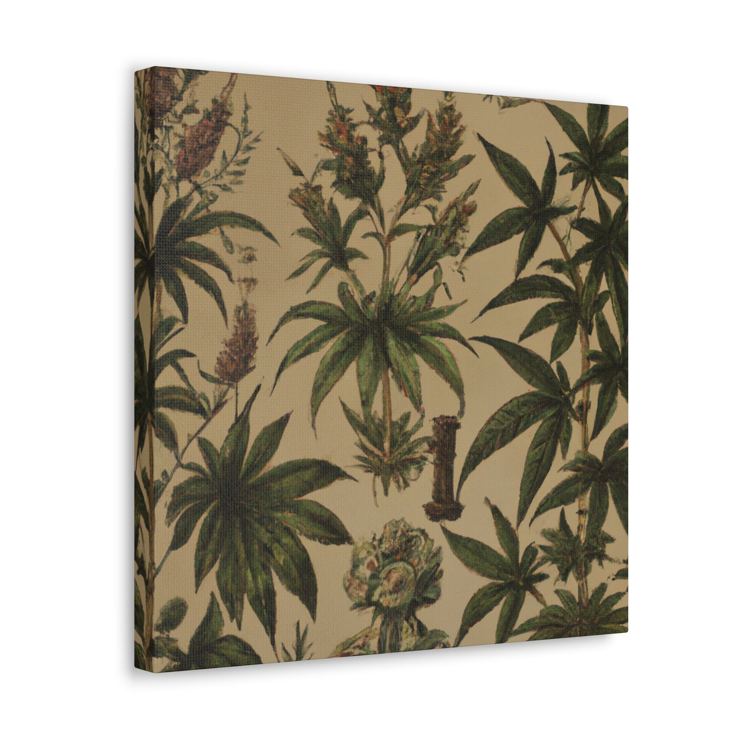 "Cannabis Sativa Blooms" - Canvas