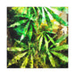 Cannabis Sativa Impression - Canvas