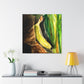 Bananna Garden Delight. - Canvas