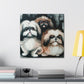 "Pekingese Gazing Wondrously" - Canvas