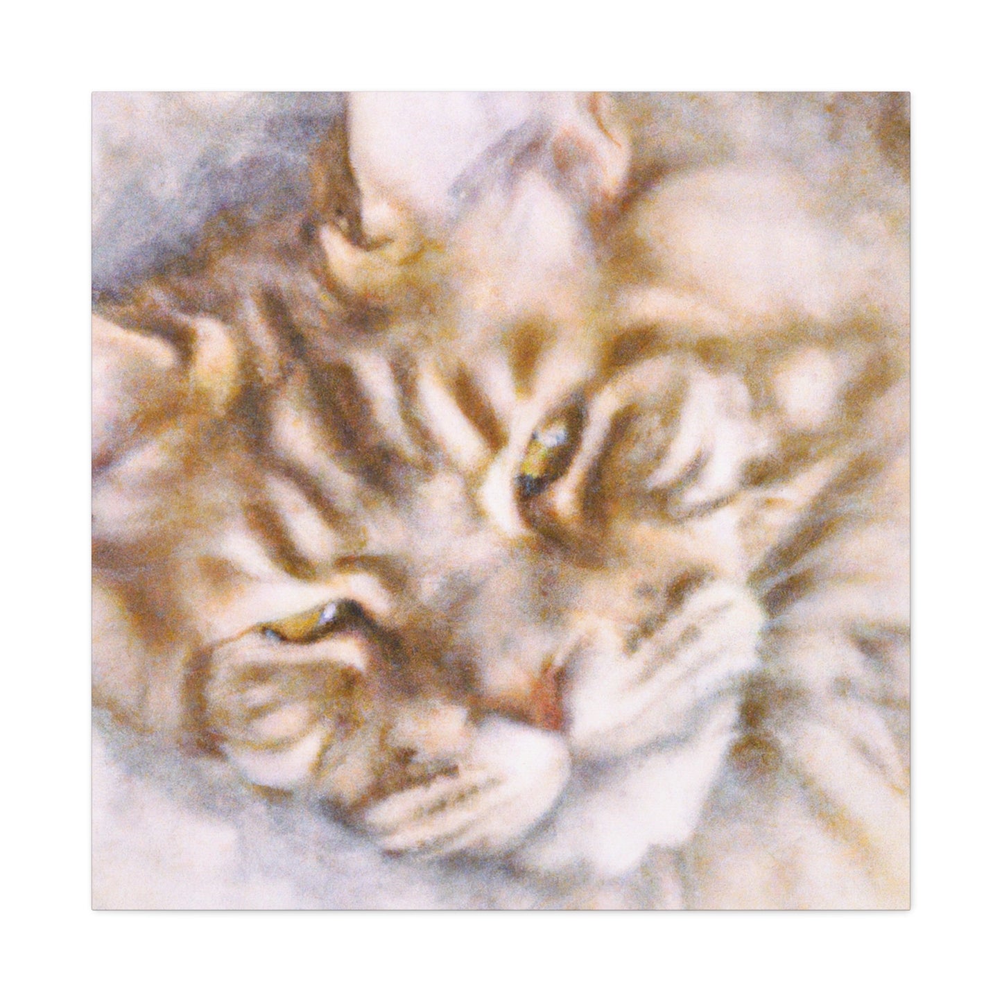 Maine Coon Impression - Canvas