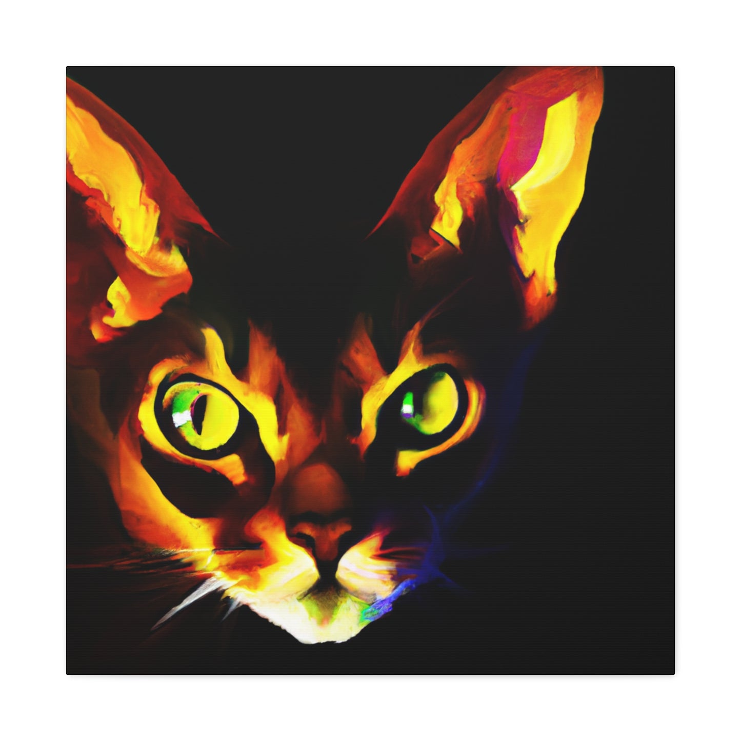 Abyssinian Clarity Beauty - Canvas