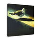 Seagull's Soaring Freedom - Canvas