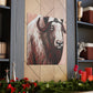 Musk Ox Splendor. - Canvas