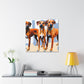 Rhodesian Ridgeback Reflection - Canvas