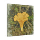 Chanterelle Impressionism - Canvas