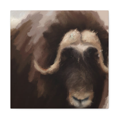 Musk Ox Majesty - Canvas