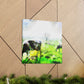 Milky White Mooing - Canvas