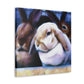 Furry Rabbit Realism - Canvas