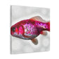 "Killifish in Bloom" - Canvas