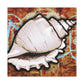 Sea Shell Splendor - Canvas