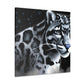 Clouded Leopard Majesty - Canvas