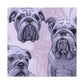 Bulldog in Abstraction - Canvas