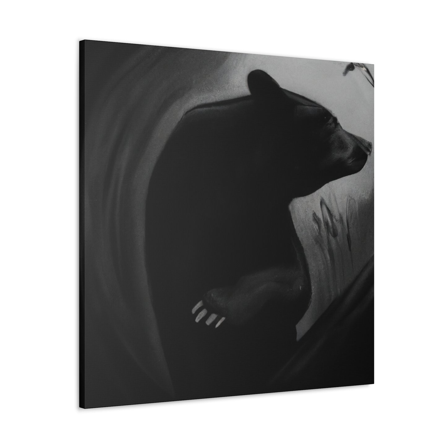 "Asiatic Black Bear Dreaming" - Canvas