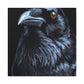 American Crow Hyperrealism - Canvas