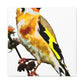 "Flock of Goldfinches" - Canvas