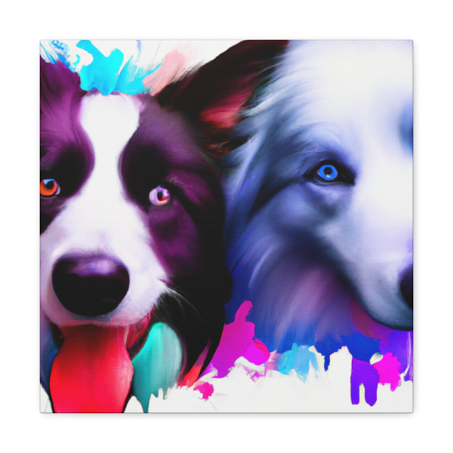 Border Collie Portrait - Canvas