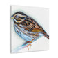 Song Sparrow Melodies - Canvas