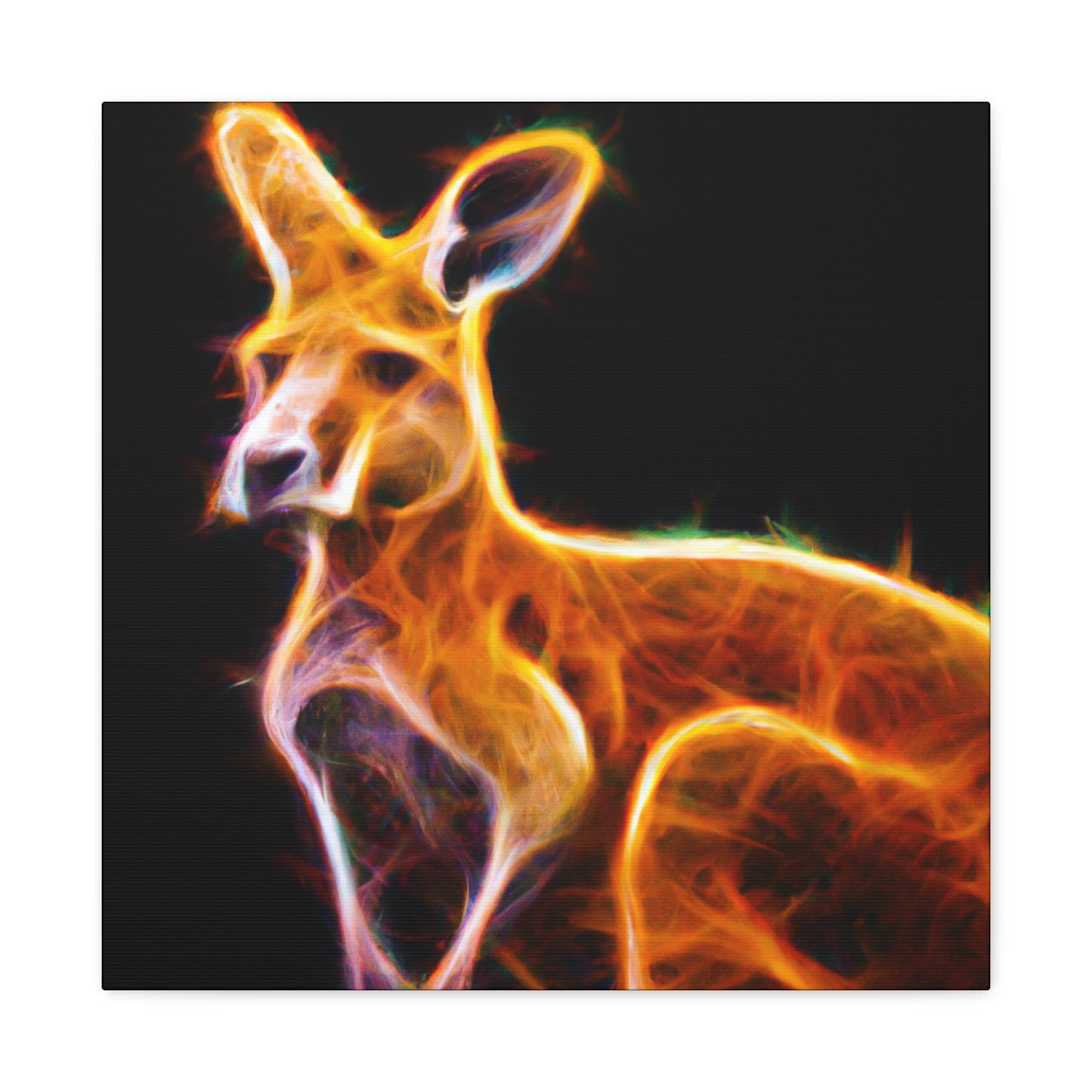 Kangaroo in Starlight - Canvas