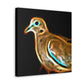 Mourning Dove in Flight - Canvas