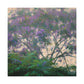 Jacaranda Dreamscape - Canvas