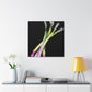 "Asparagus Remixed Renewed" - Canvas