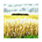 "Golden Harvest Splendor" - Canvas