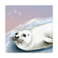 Harp Seal in Art Deco - Canvas