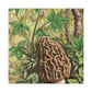 Morel in Splendour. - Canvas