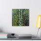 Birch Tree Impressionism - Canvas