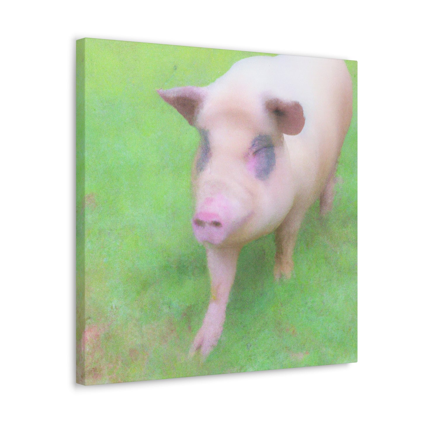 Pig With Pink Skin - Canvas