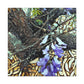 Jacaranda In Reflection - Canvas