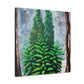 "Ancient Sequoia Splendor" - Canvas