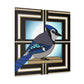 "Blue Jay Illumination" - Canvas