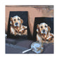 Golden Retriever Radiance - Canvas