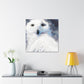 Snowy Owl Impressionism - Canvas