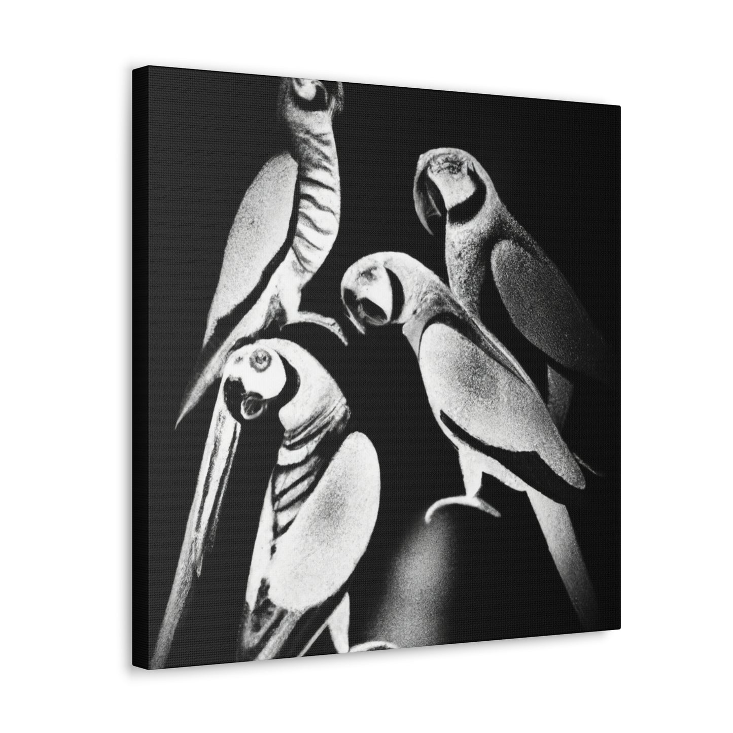 Senegal Parrots Delight - Canvas