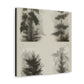 Pine Tree Enchantment - Canvas