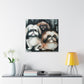 "Pekingese Gazing Wondrously" - Canvas