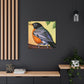 "Glamorous American Robins" - Canvas