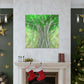 Banyan Tree Illusionist - Canvas