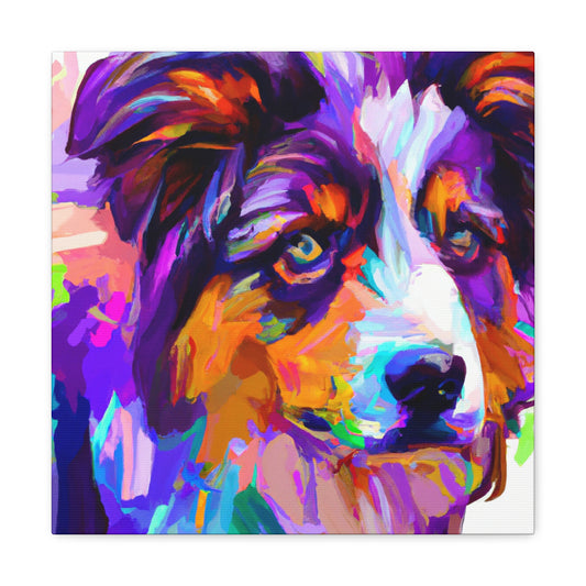 Australian Shepherd Reflection - Canvas