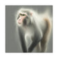 "Majestic Japanese Macaque" - Canvas